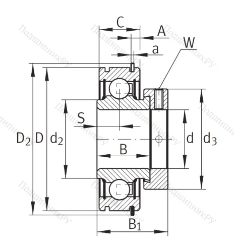 Закрепляемый подшипник RAE 25-XL-NPP-NR от производителя  INA